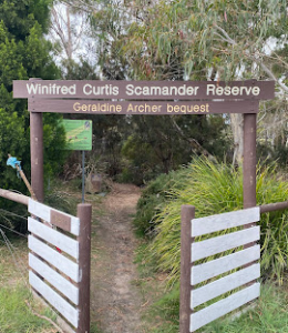 Winifred Curtis Reserve