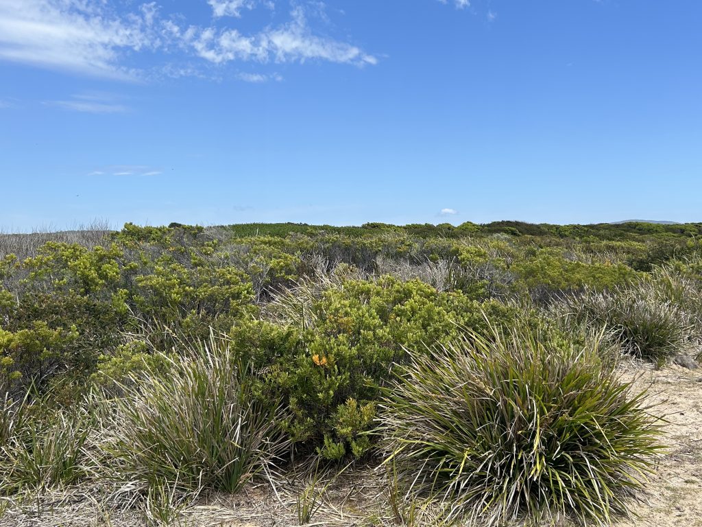 Fanny Bay Conservation Area (PR)