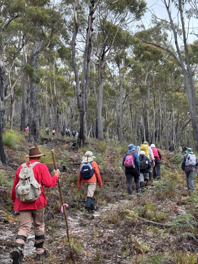 Climbing to Doctors Peak (PR)