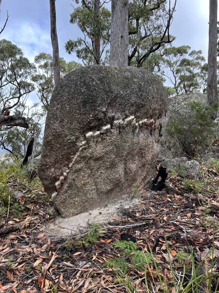 Granite boulder with vein of quartz (PR)