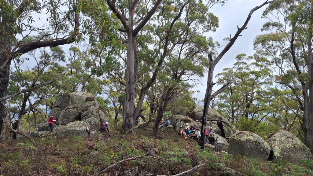 Lunch at Doctors Peak(CB)