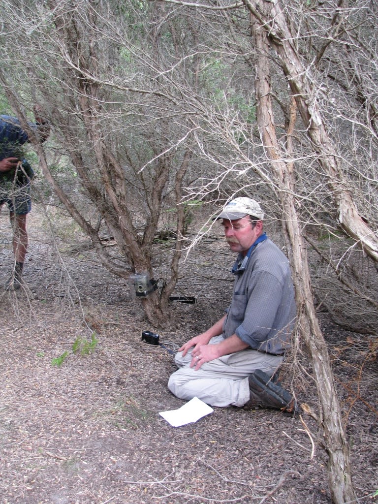Steve Cronin setting animal trap camera (RM)