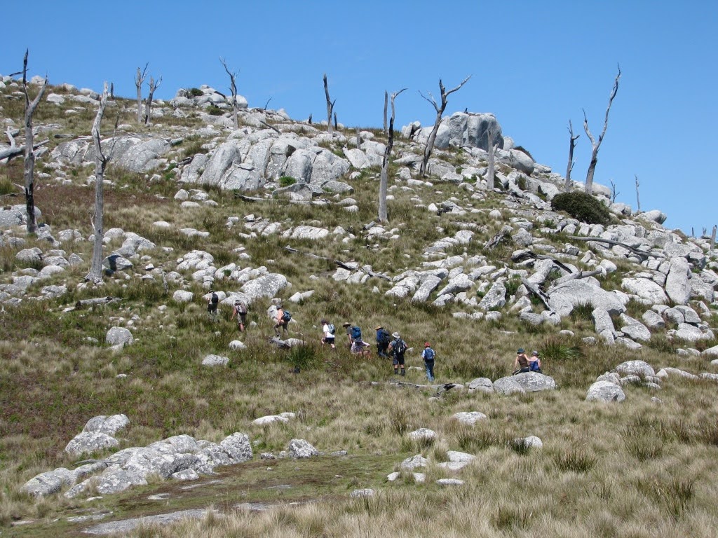 Ascent Mt Munro (RM)