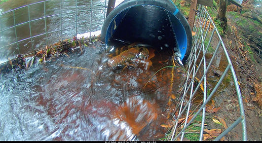 Culvert with rubber matting