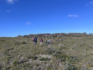 Coming into the open and climbing to the Pleistocene Dune (PR)