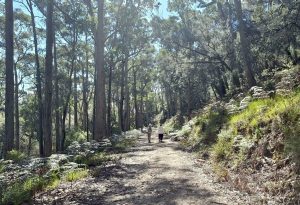 Kamona Station Road (CB)