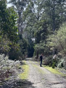 Rail Trail (PR)
