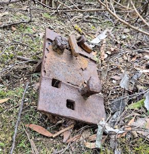 Sleeper plate and dog spikes (RC) jpg.
